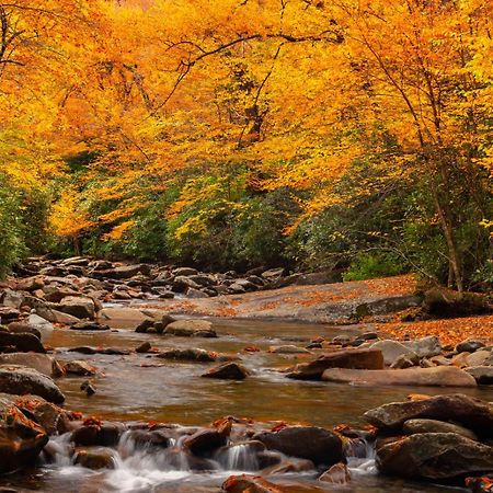 Peace, Serenity & Relaxation In The Smokies! 蓋特林堡 外观 照片