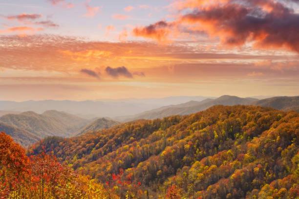 Peace, Serenity & Relaxation In The Smokies! 蓋特林堡 外观 照片