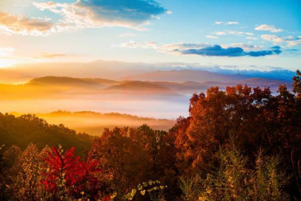 Peace, Serenity & Relaxation In The Smokies! 蓋特林堡 外观 照片
